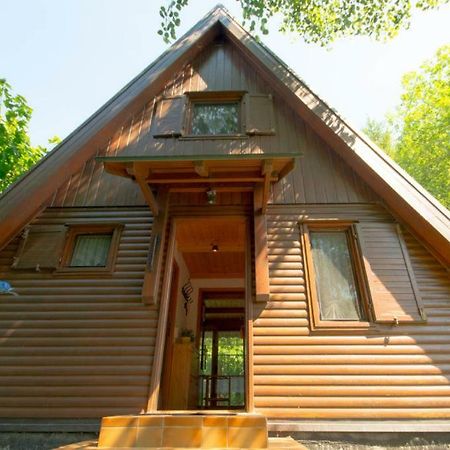 Ferienhaus Ederer Waldmünchen Exteriör bild