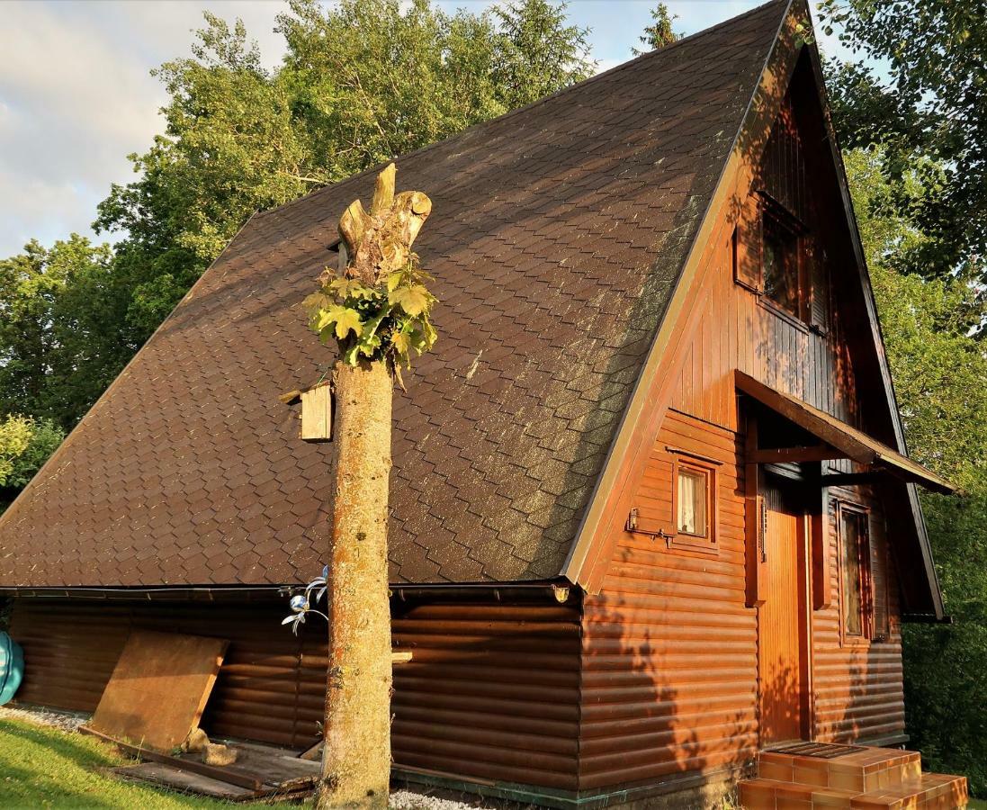 Ferienhaus Ederer Waldmünchen Exteriör bild
