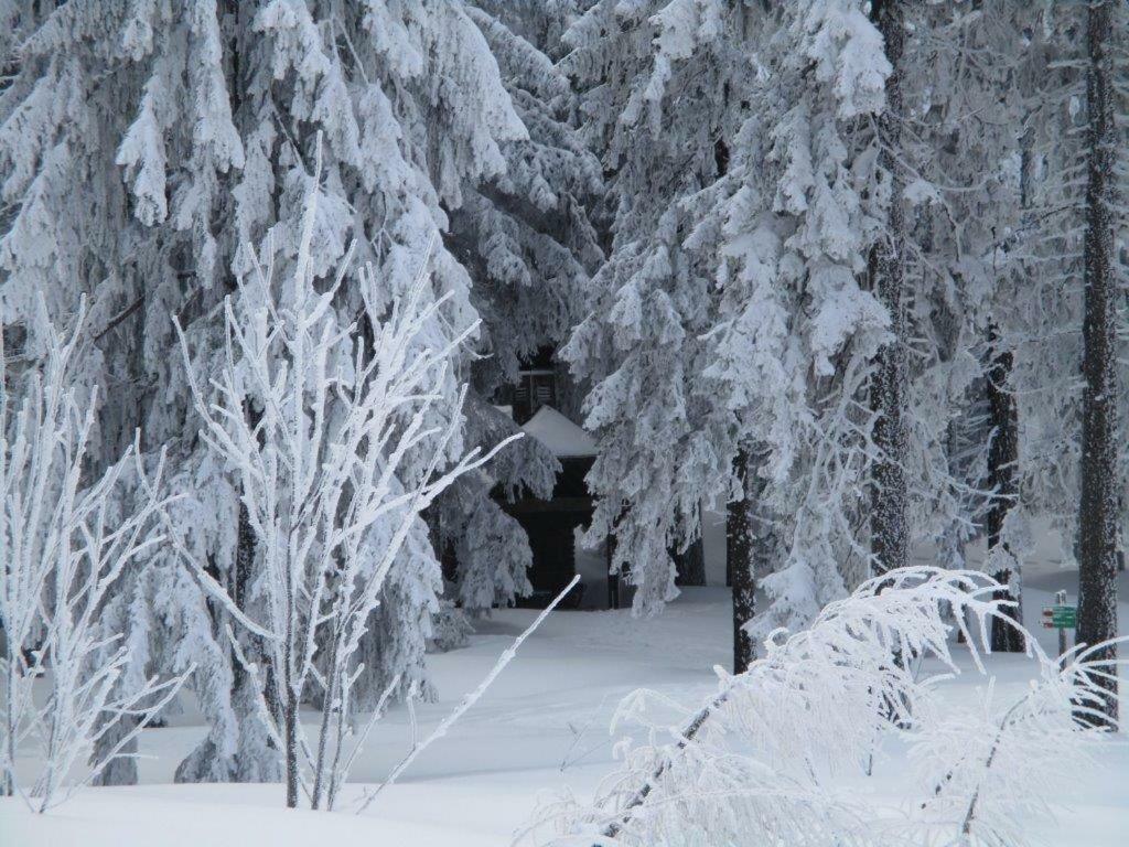 Ferienhaus Ederer Waldmünchen Exteriör bild
