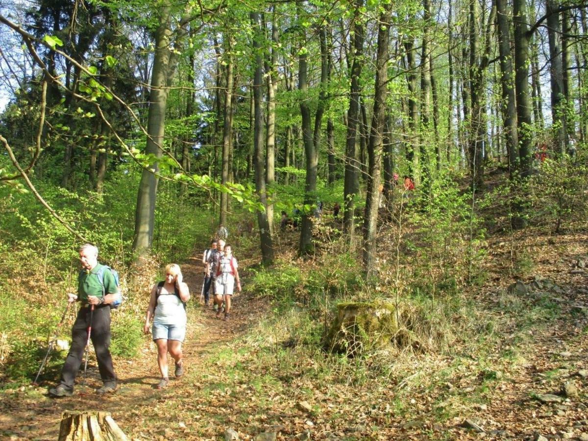 Ferienhaus Ederer Waldmünchen Exteriör bild
